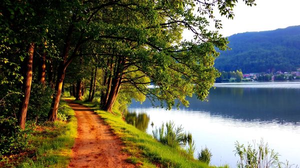 Find your oasis: top naturist campsites in france